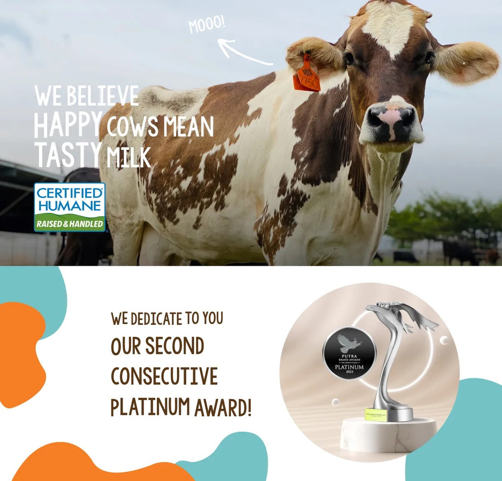 Farm Fresh UHT Fresh Milk 1L x 12 Packs