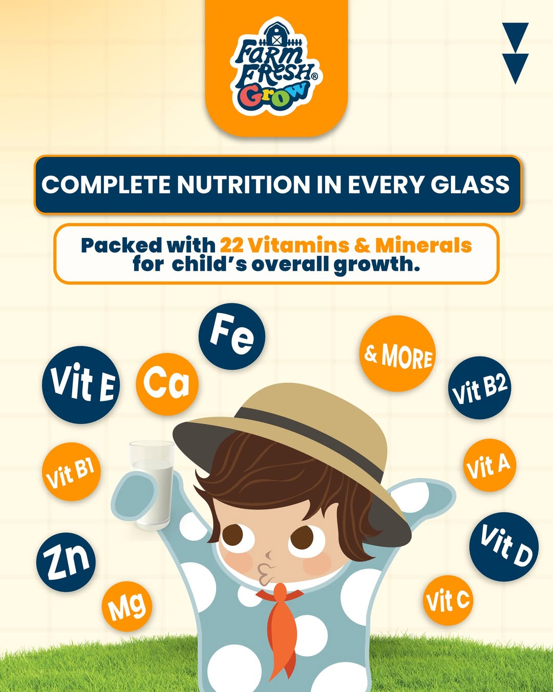 Farm Fresh Grow Formulated Milk 1-6 Years Old 125ml x 32 Packs