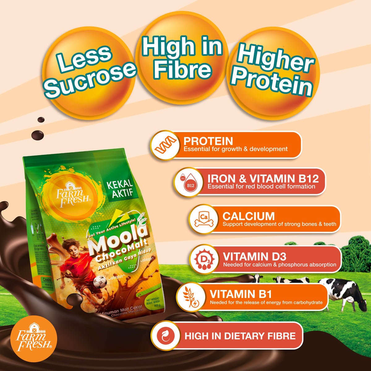 Farm Fresh Moola Choco Malt Powder 800g x 1 Pack