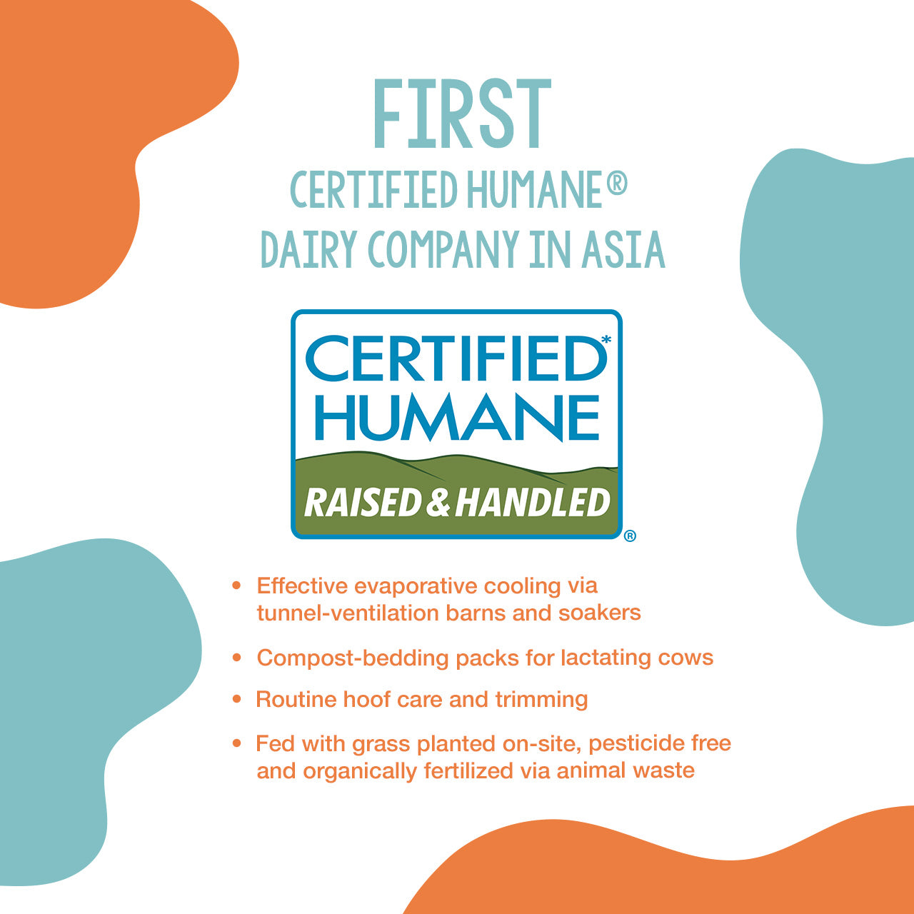 Farm Fresh Moola Choco Malt Powder 800g x 1 Pack